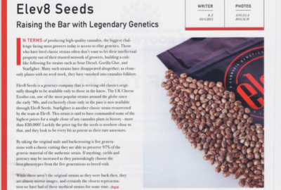 Featured in Dope Magazine – Raising the Bar with Legendary Genetics Screen Shot 2015-09-01 at 5.21.47 PM