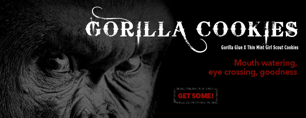 Gorilla Cookies