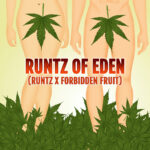 Runtz of Eden Square Runtz of Eden Square