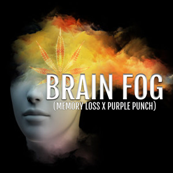 Brain Fog Square