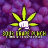 Sour Grape Punch Square
