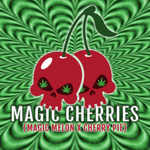 Magic Cherries Square