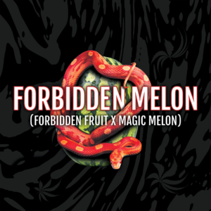 Forbidden Melon – Limited Release