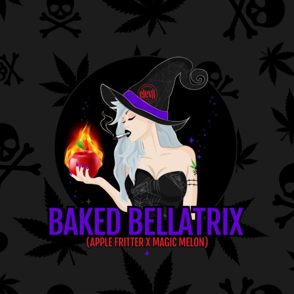 Baked Bellatrix Square