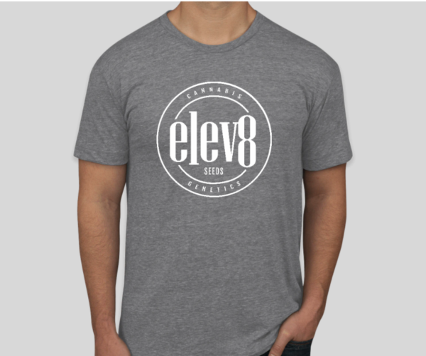 Elev8 T Shirt Gray
