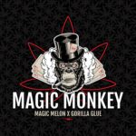 Magic Monkey Square