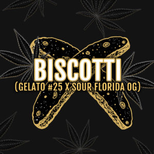 Biscotti (BX3)