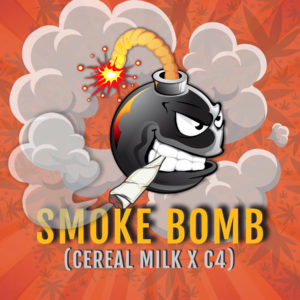 Smoke Bomb