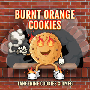 Burnt Orange Cookies