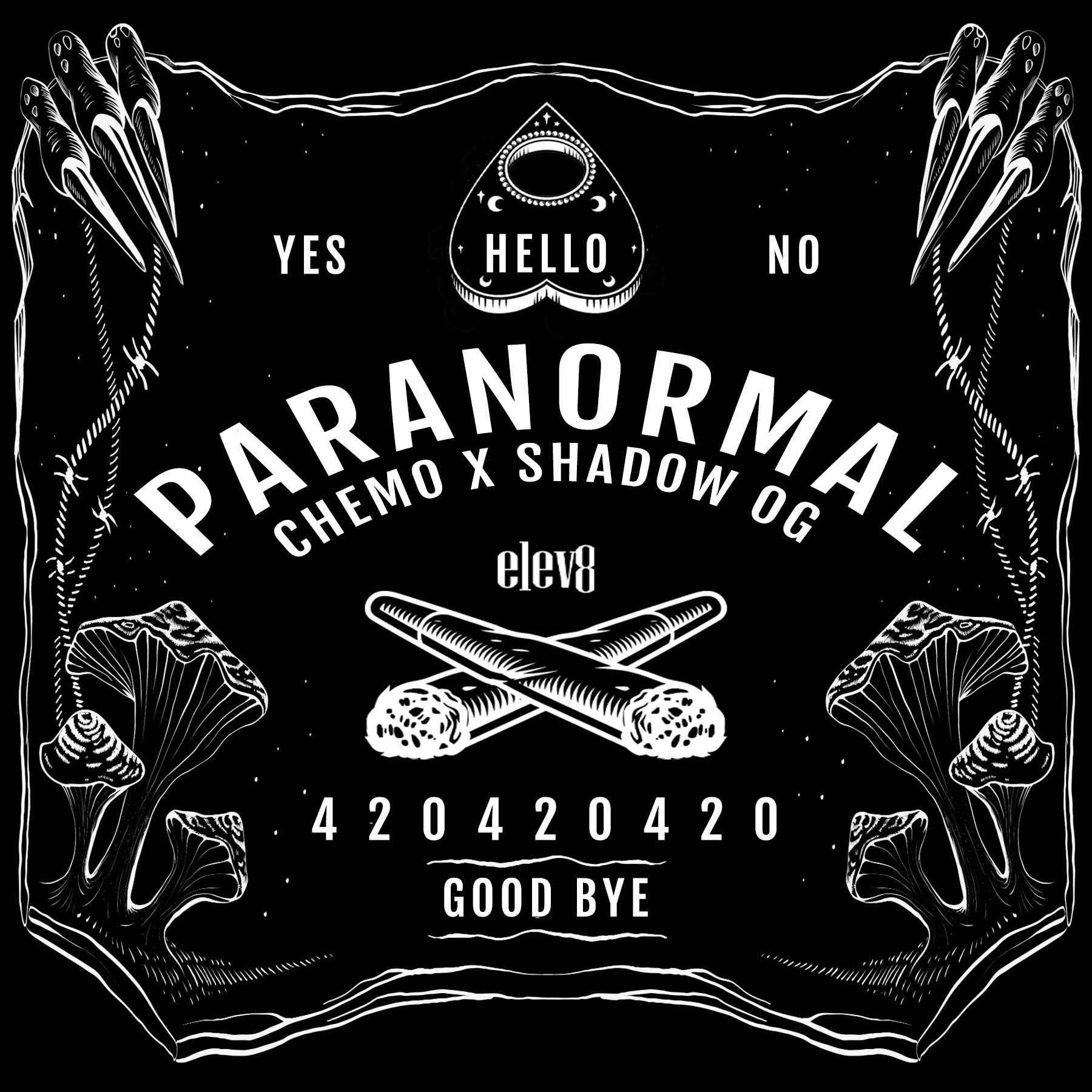 Paranormal Elev8 Seeds