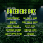Breeders Box Vol 1