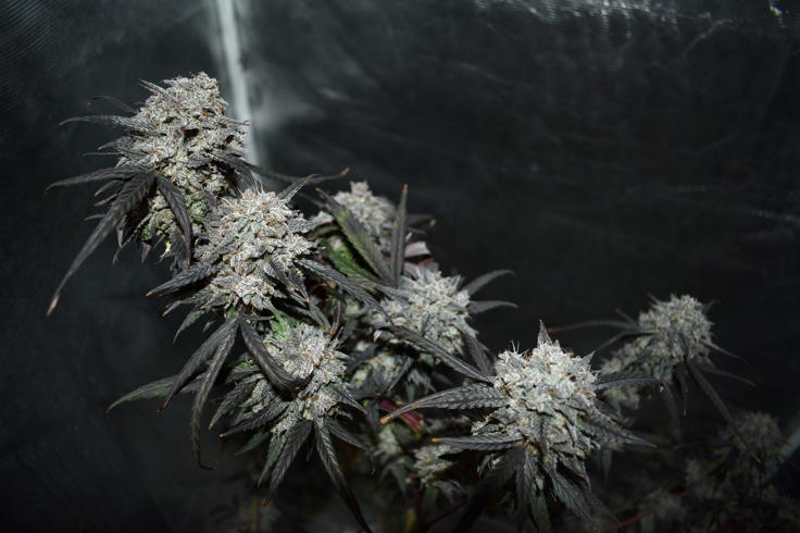 Image #1 from scott sandbrink