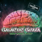 Galactic Guava