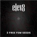 3 FREE SEEDS - BIRTHDAY