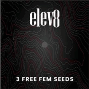 3 FREE SEEDS - BIRTHDAY