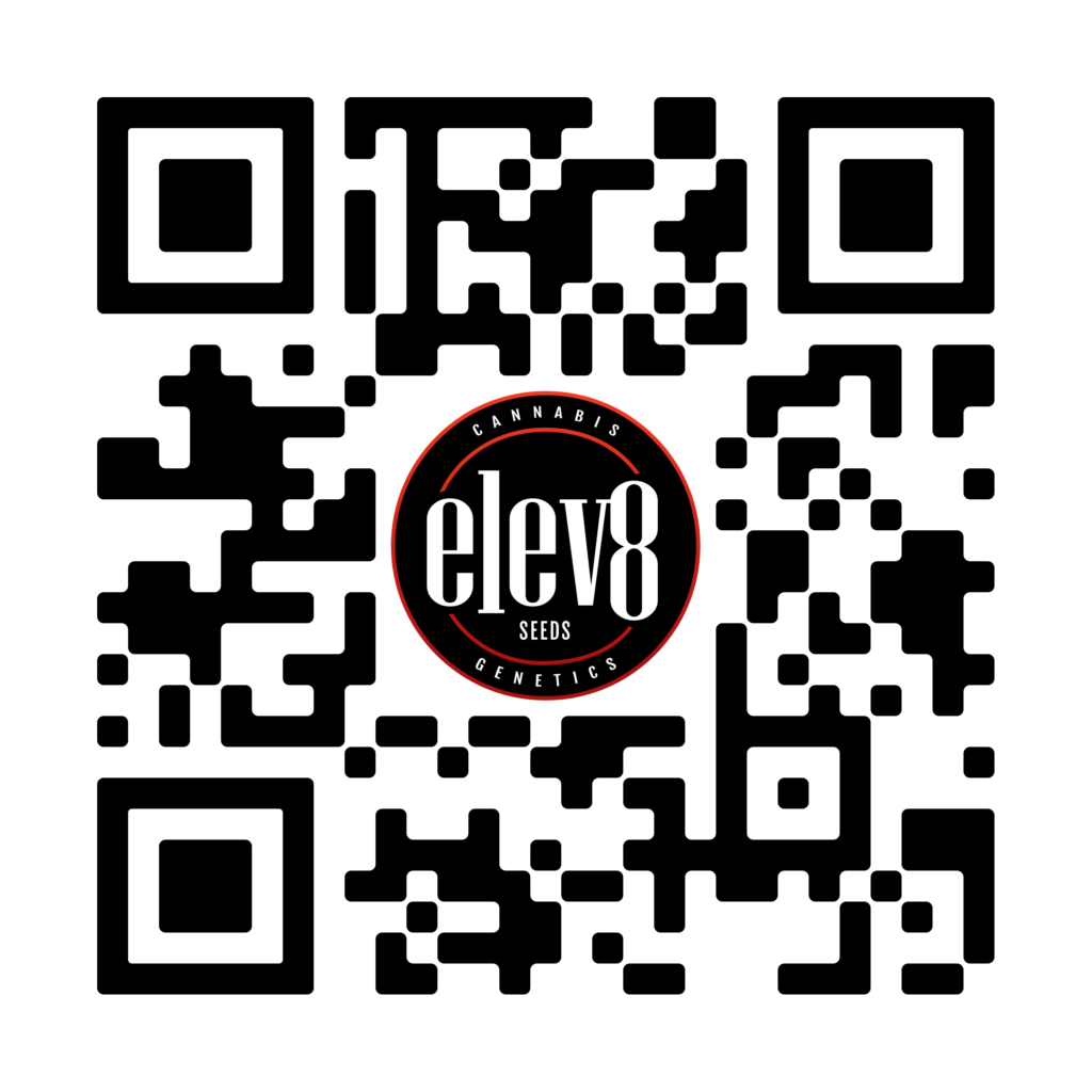 Contact Store Elev8 Seeds