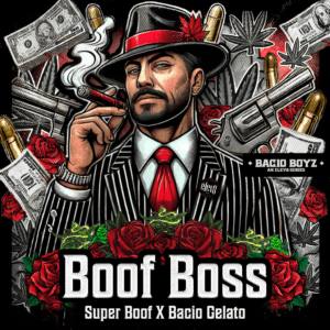 Boof Boss strain – fruity, high-THC hybrid with bold cherry-berry flavors and creamy gelato undertones.