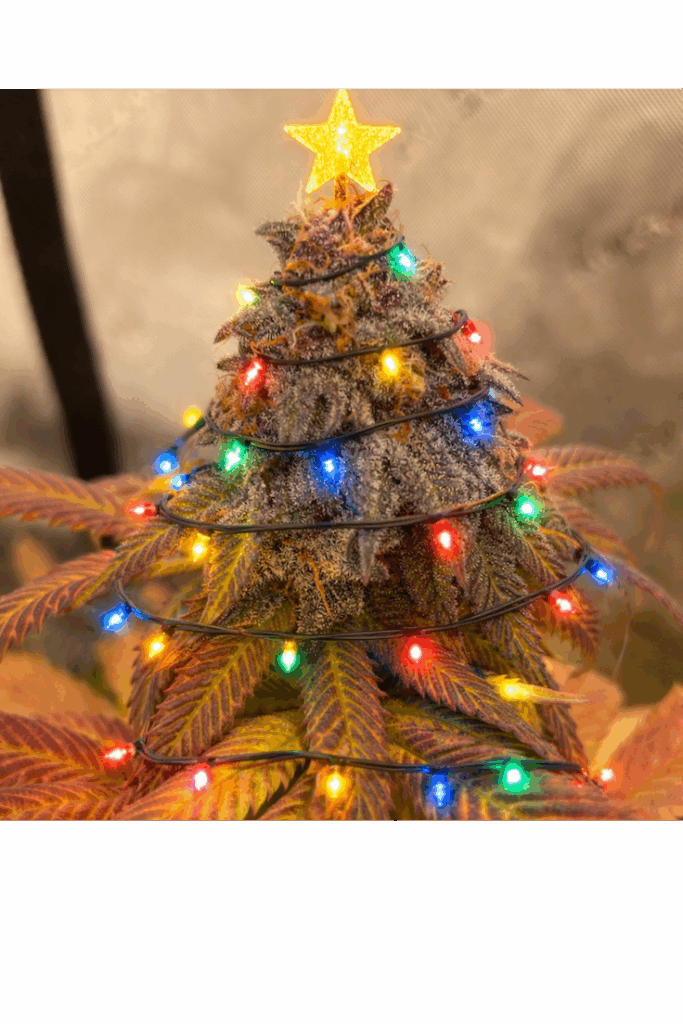 Image #1 from Mark Lamb