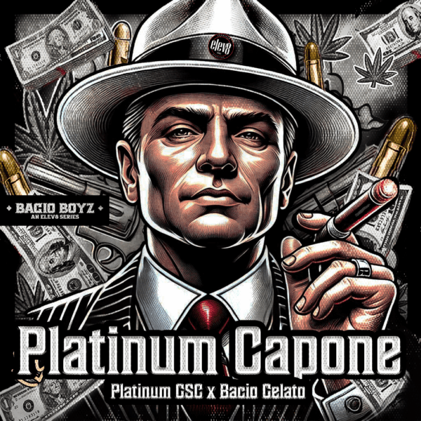 Platinum Capone strain – exotic, frosty hybrid with sweet berry and dessert-like flavors.