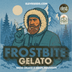 Frostbite Gelato