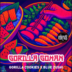 Gorilla Cookies x Blue Zushi feminized cannabis seeds – Elev8 Seeds