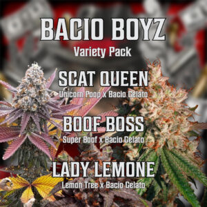 Bacio Boyz Variety Pack