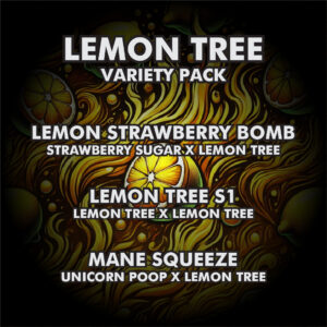 Lemon Tree Variety Pack