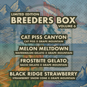 Breeders Box Vol 6: Wild Mountain