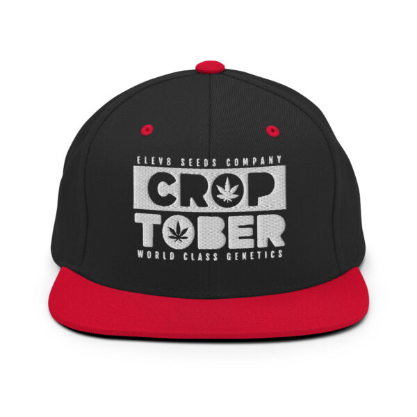 classic-snapback-black-red-front-68cd745349333.jpg