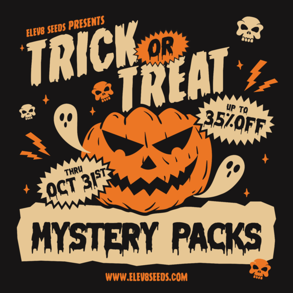 Elev8 Seeds Trick or Treat Mystery Pack — 6 feminized cannabis seeds Halloween sale up to 35% off
