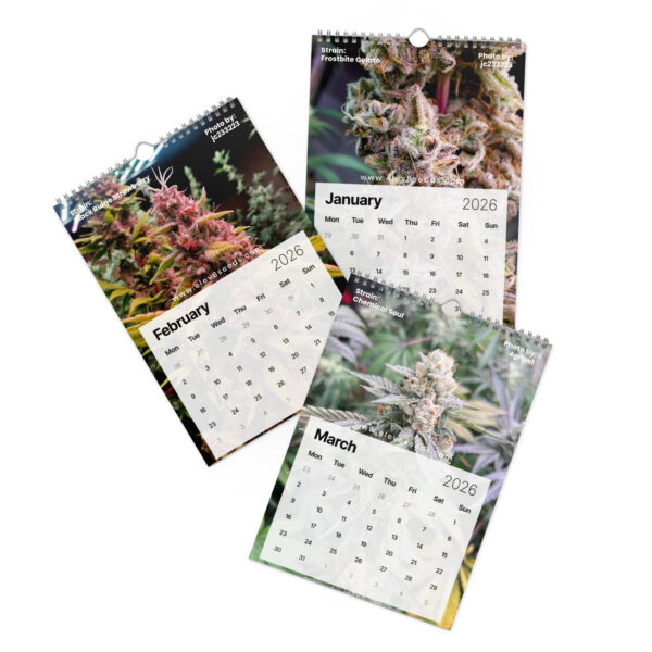 wall-calendar-2026-start-w-mon-8.26x11.69-front-698f51f97d384.jpg
