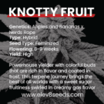 3 FREE SEEDS - Knotty Fruit