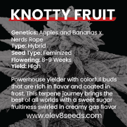 3 FREE SEEDS - Knotty Fruit