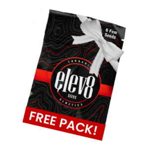 6 FREE SEEDS - Random Selection - Retired Strain