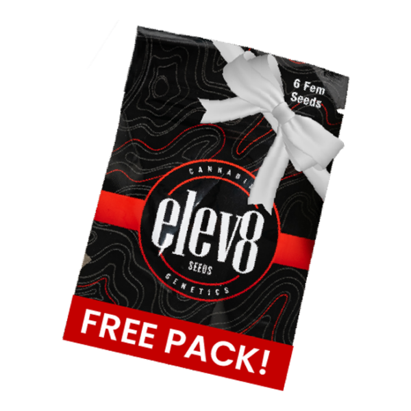Free Pack Graphic Single