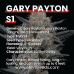 3 FREE SEEDS - Gary Payton S1