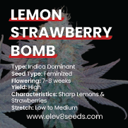 3 FREE SEEDS - Lemon Strawberry Bomb